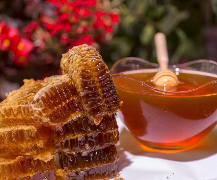 Bartin Chestnut Honey