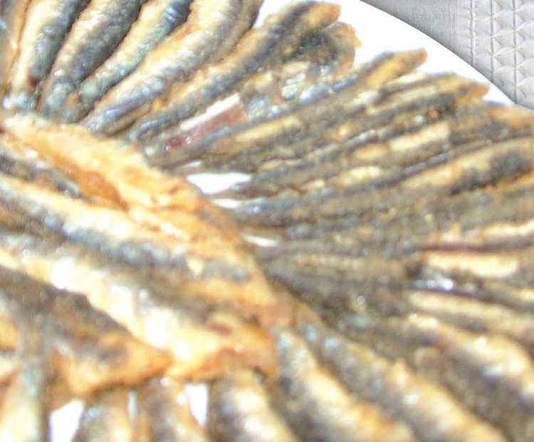 Pan-Fried Anchovy