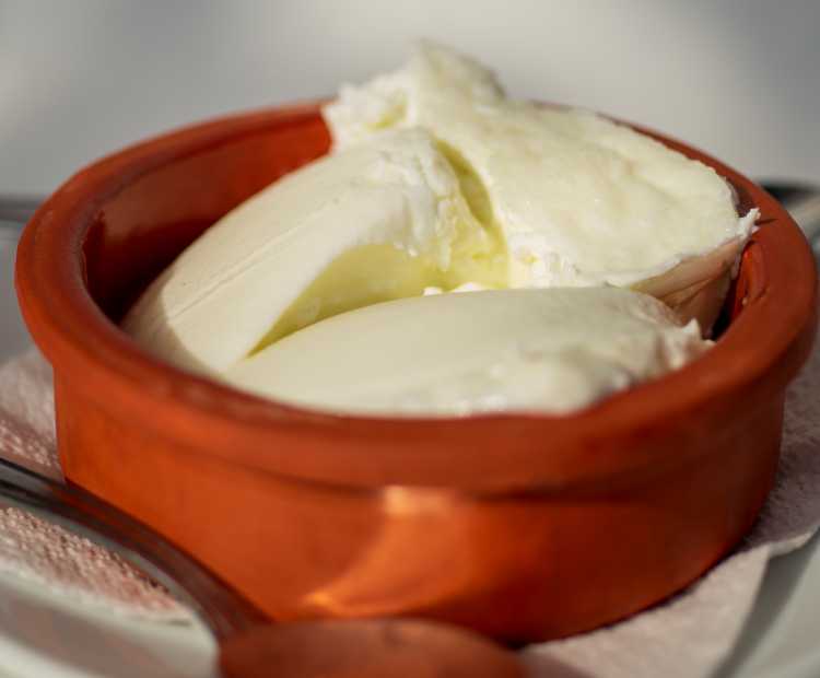 Buffalo Yogurt