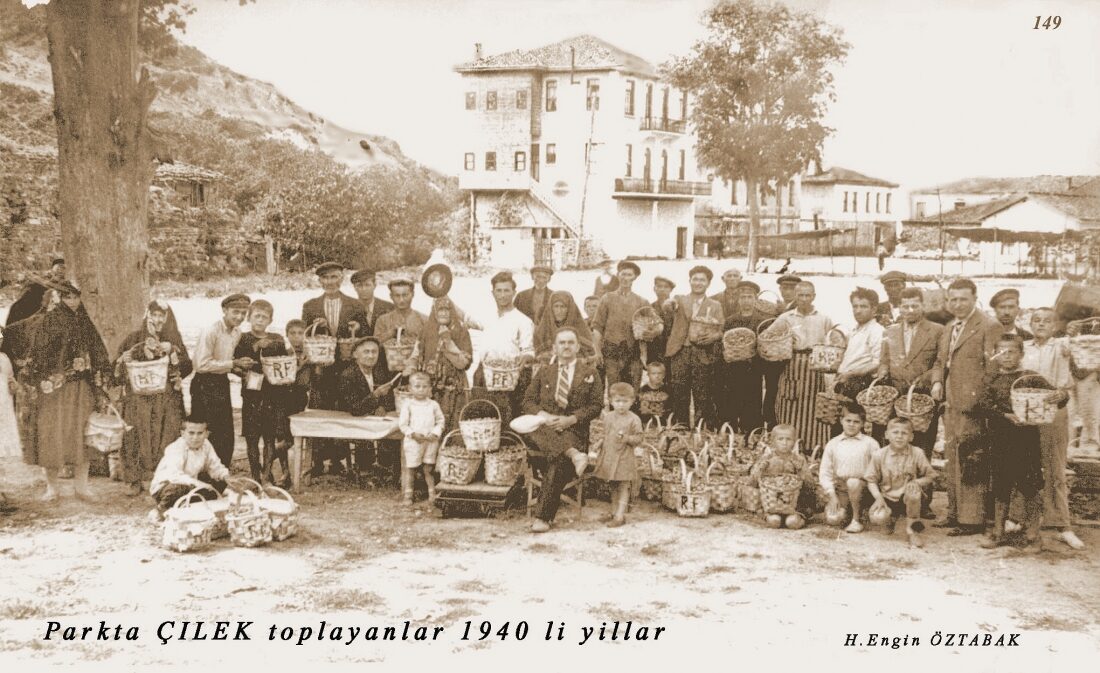 Karadeniz Ereğli Osmanlı Çileği Görsel 4
