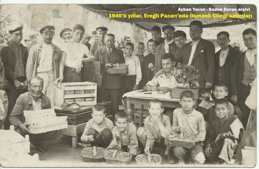 Karadeniz Ereğli Osmanlı Çileği Görsel 3