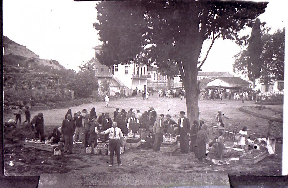 Karadeniz Ereğli Osmanlı Çileği Görsel 5